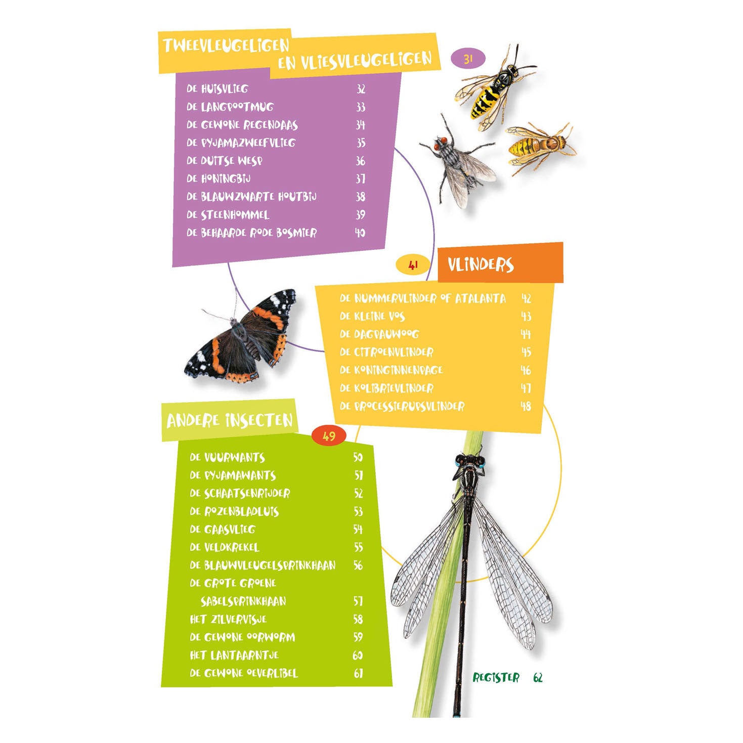 Deltas bester Insektenführer für Kinder