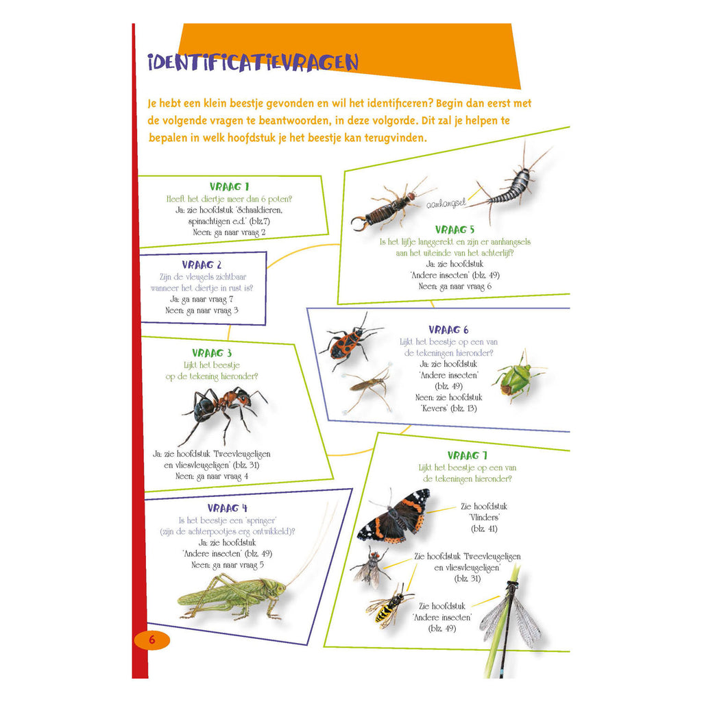 Deltas bester Insektenführer für Kinder