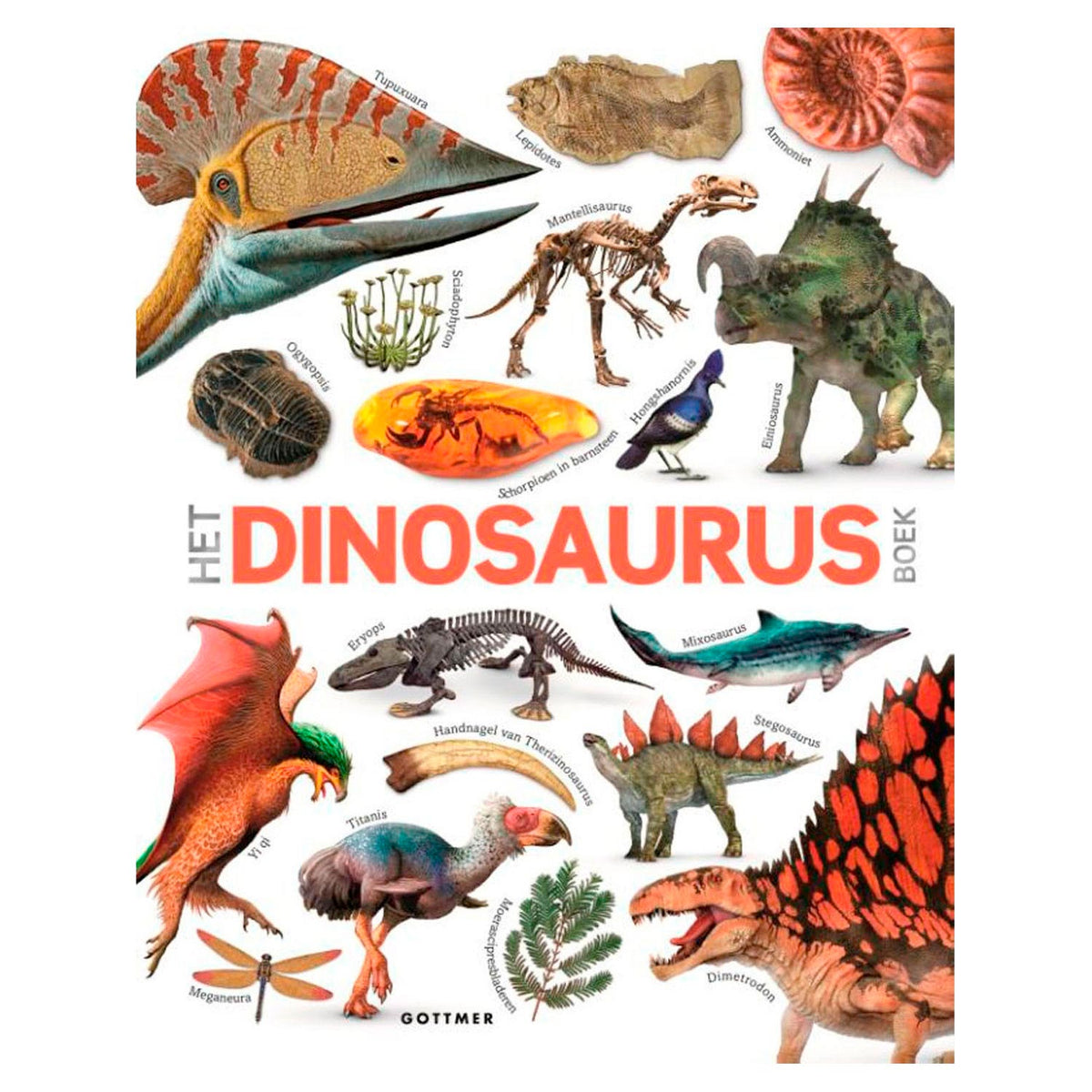 Gottmer uitgevers groep het dinosaurusboek. 8+