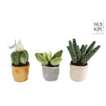 Take me home plant pluche 12-17cm