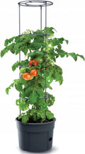 Prosperplast vorstbestendige tomatenpot tomatenteler ipom300