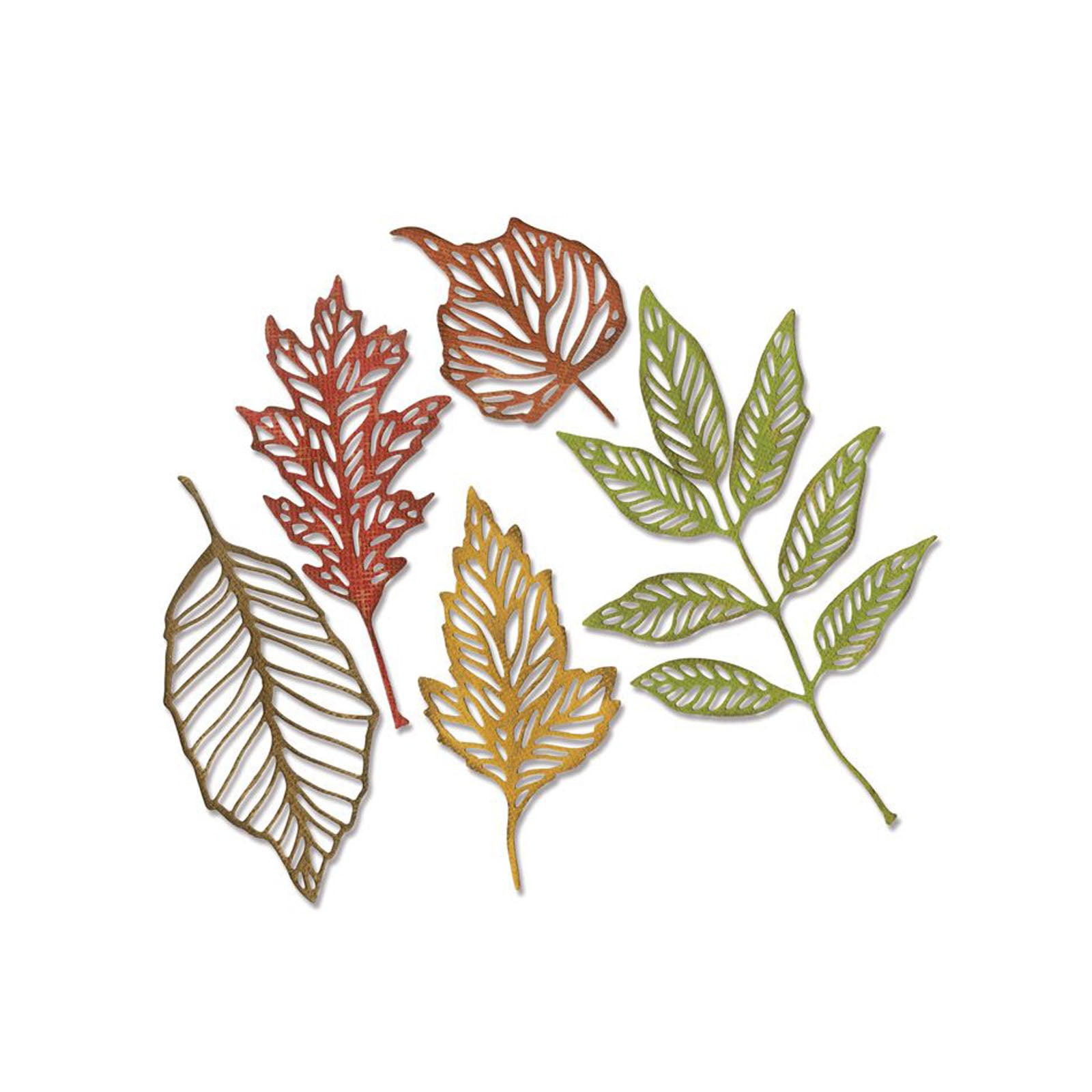 Sizzix • tim holtz thinlits die set skeleton leaves 5pcs