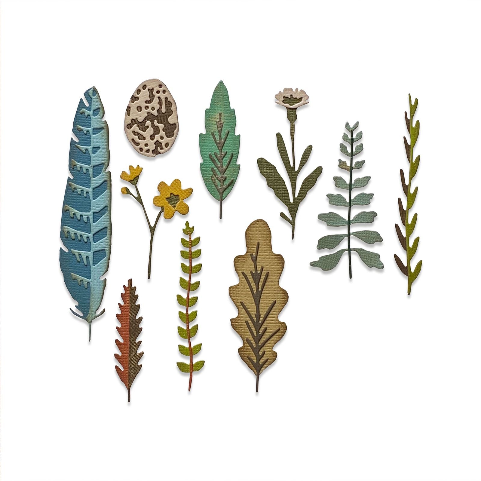 Sizzix • tim holtz thinlits die set funky nature 10pcs