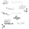 Sizzix • clear stamps set spring bloom sentiments 10stuks