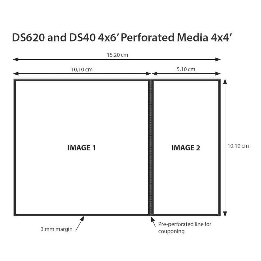DNP - Papierrolle 2 – 400 Stück, 10 x 15 cm, perforiert bei 10 x 10 cm für DS620