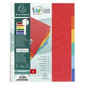 Tabbladen exacompta. 6 tabs 245x308 cm