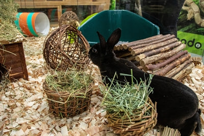Nature First Happy Haustier-Weidenheuständer