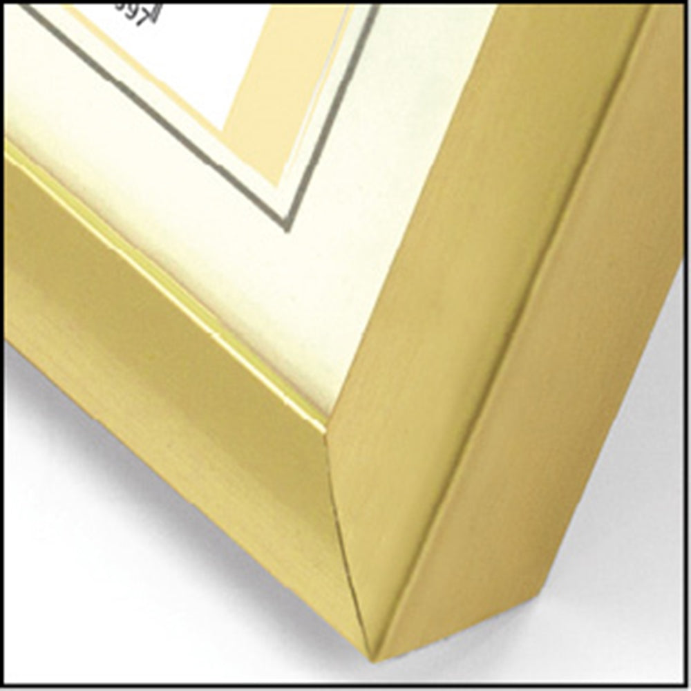 Zep Bilderrahmen KG5 Gold 30x40 cm