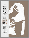 Nielsen design nielsen fotolijst 5430124 super 8 mat zilver 30x40 cm