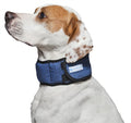 Aqua Coolkeeper Halsbänder Aqua Coolkeeper Pazifikblau