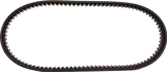Polini keilriemen verstärkt v-belts verst. 27.5x1038 mm