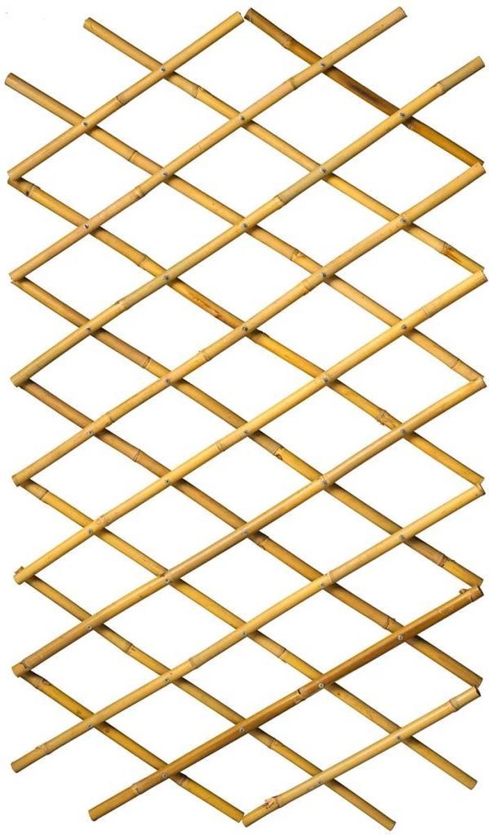 Natürliches Rankgitter für den Garten 70x180 cm Bambus 6040721