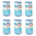Intex 29000 filter cartridge type a 6 stuks voor zwembad 244 305 366 cm