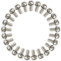 Anp bout m5x14 torx m plaat rvs ds a 25