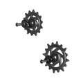 Sram derailleurwieltjes set eagle 70 90 t-type incl. montage bouten