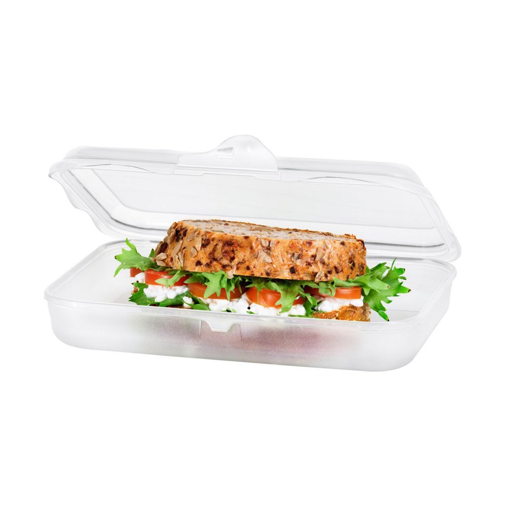 Rotho lustige Lunchbox 0,45 l transparent