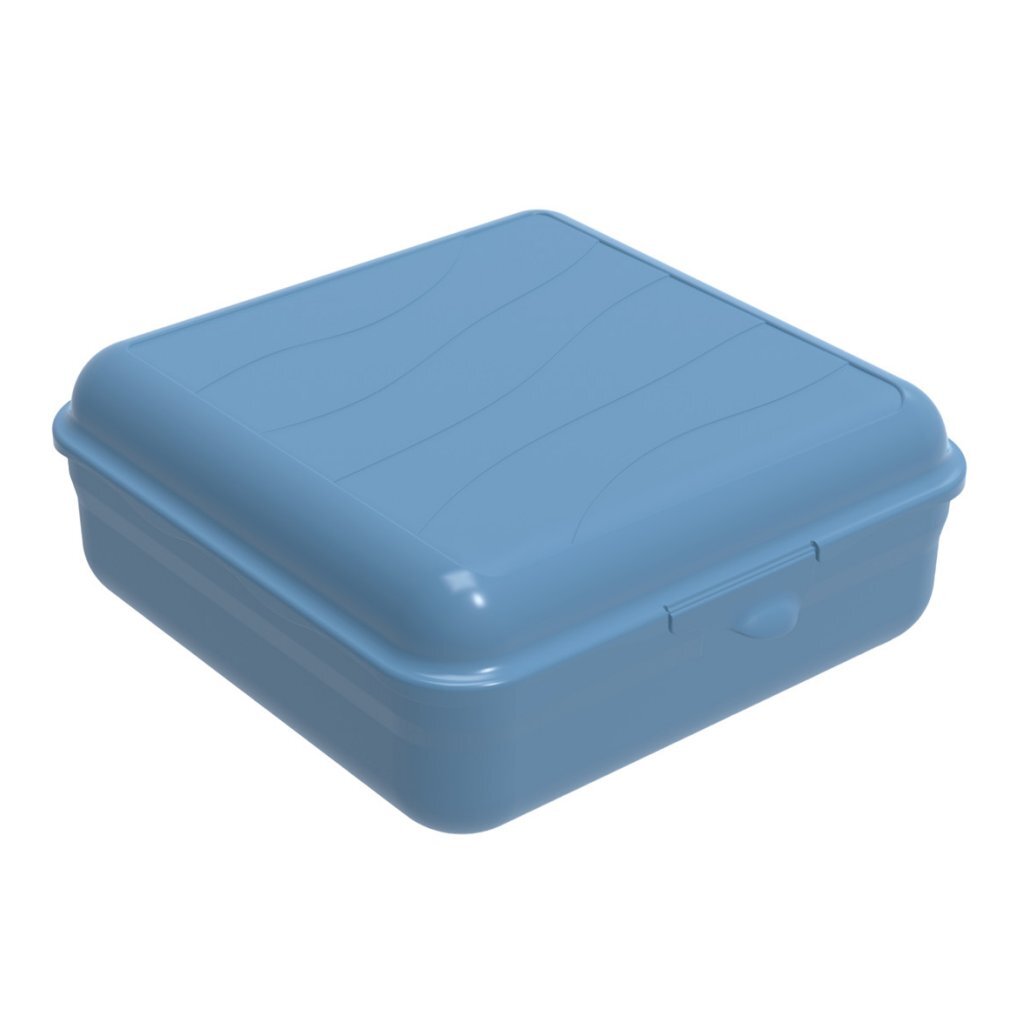 Rotho Fun Lunchbox quadratisch 2,35 l Horizontblau