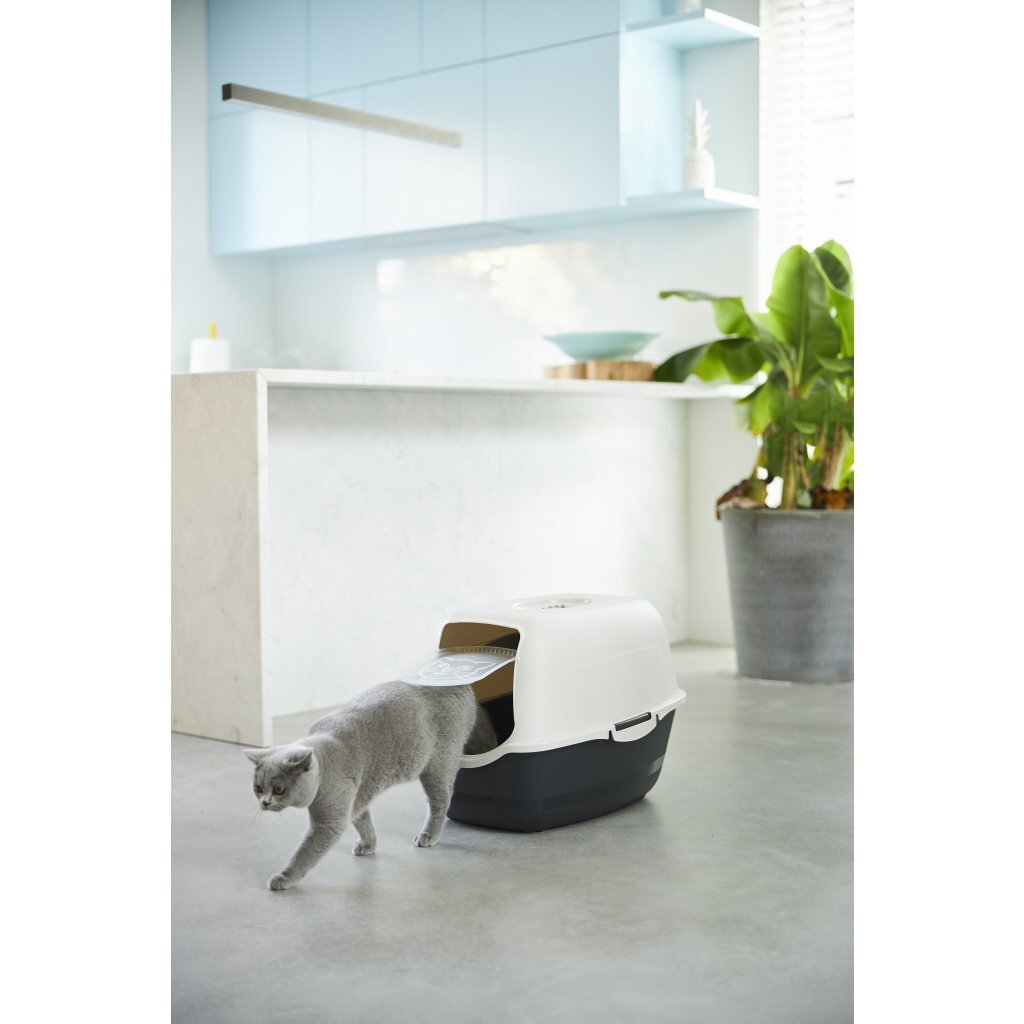 Rotho Bailey Katzentoilette Eco Schwarzer Sand