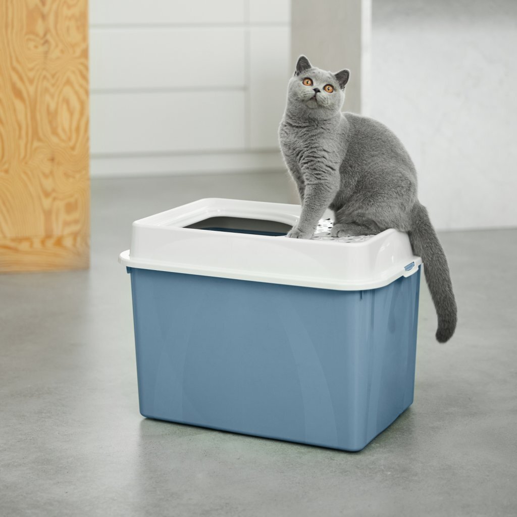 Rotho Eco Berty Katzentoilette mit oberem Einstieg, blauer Sand