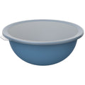 Rotho schaal met deksel 4.8l horizon blauw