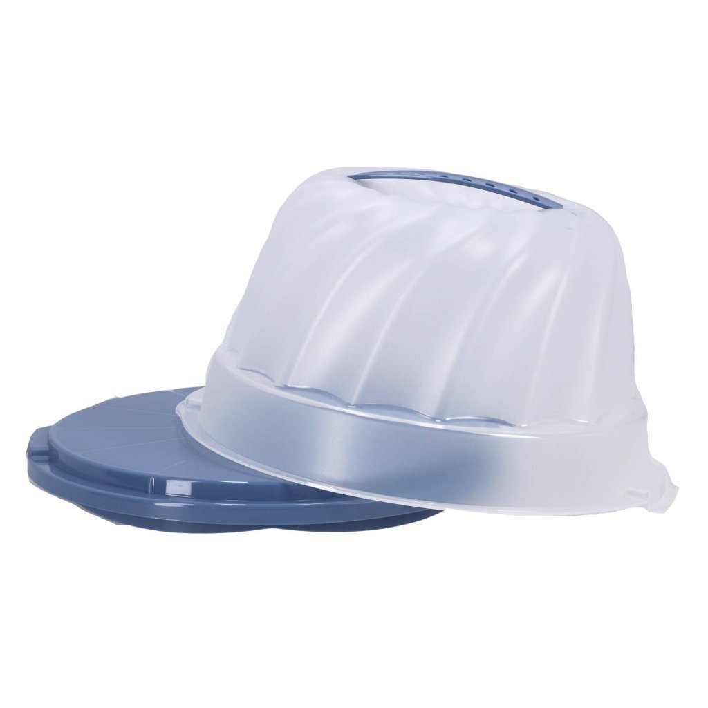 Rotho Gugelhupf frisch cakedoos Tulband Horizont blau transparent
