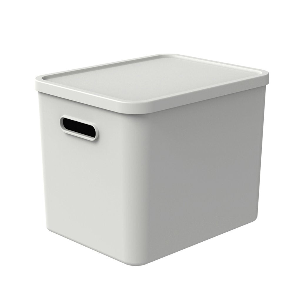 Rotho Albula Multibox 29,5 x 29 x 37 cm 27 l weiß