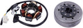 Rms lichtmaschine alternator 6 coils