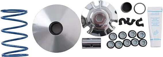 Polini variomatik hi-speed variomatic hispeed piaggio 200-250-300