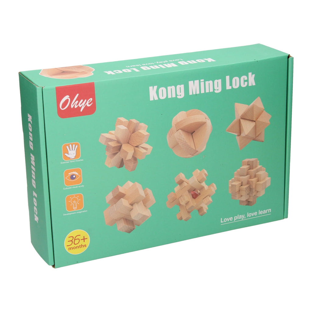 Houten breinpuzzel set, 6st.