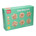 Houten breinpuzzel set, 6st.
