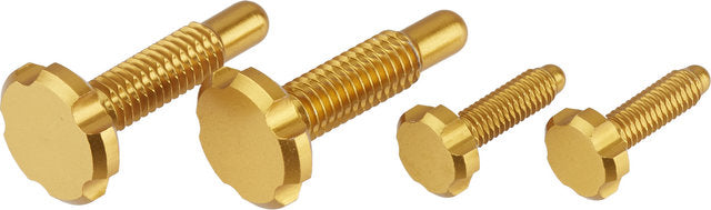 Oak components cpa epa screws for root-lever pro