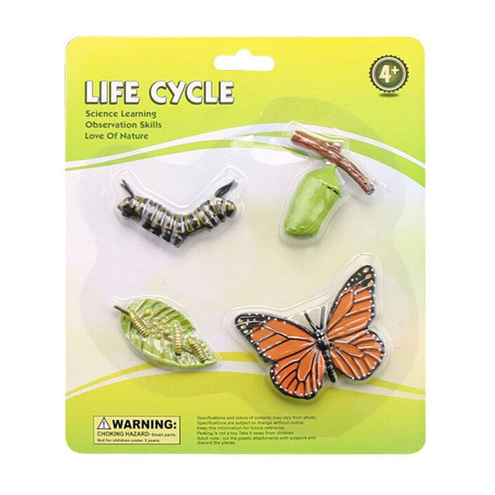 Cycplus Lebenszyklus-Schmetterlingsspielfiguren-Set
