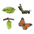 Cycplus Lebenszyklus-Schmetterlingsspielfiguren-Set