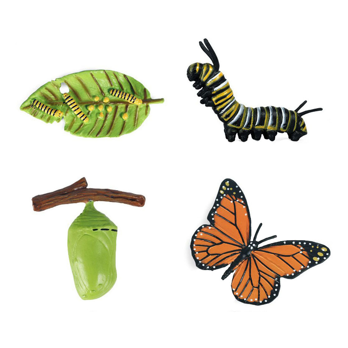Cycplus Lebenszyklus-Schmetterlingsspielfiguren-Set