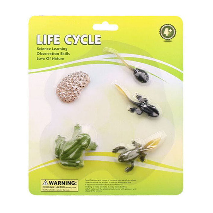 Cyclplus Lebenszyklus Frosch Spielfiguren Set
