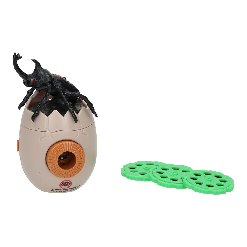 Lobbes insecten projector