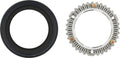 Zipp clutch ratchet cognition disc v1 cognition v1 gen 2 rear hubs