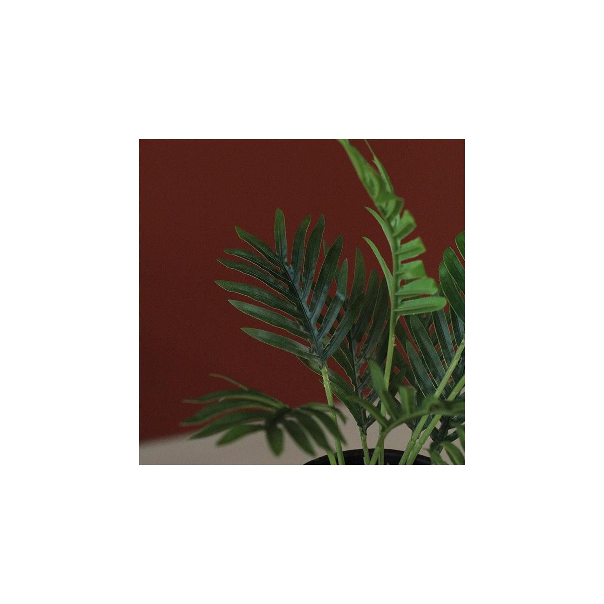 Countryfield kunstplant areca groen 23x25xh30cm