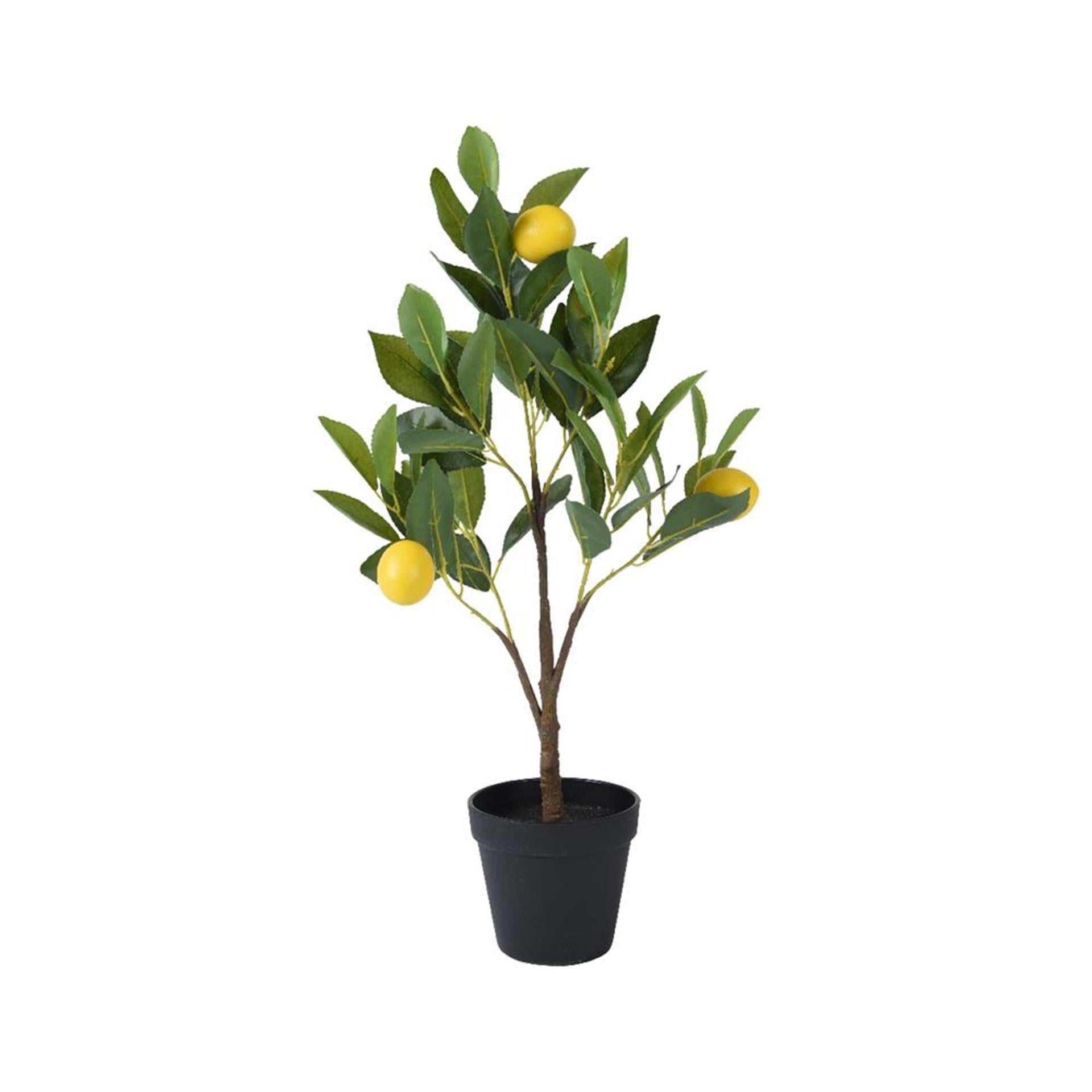 Decoris kunstplant citroen boom h60cm