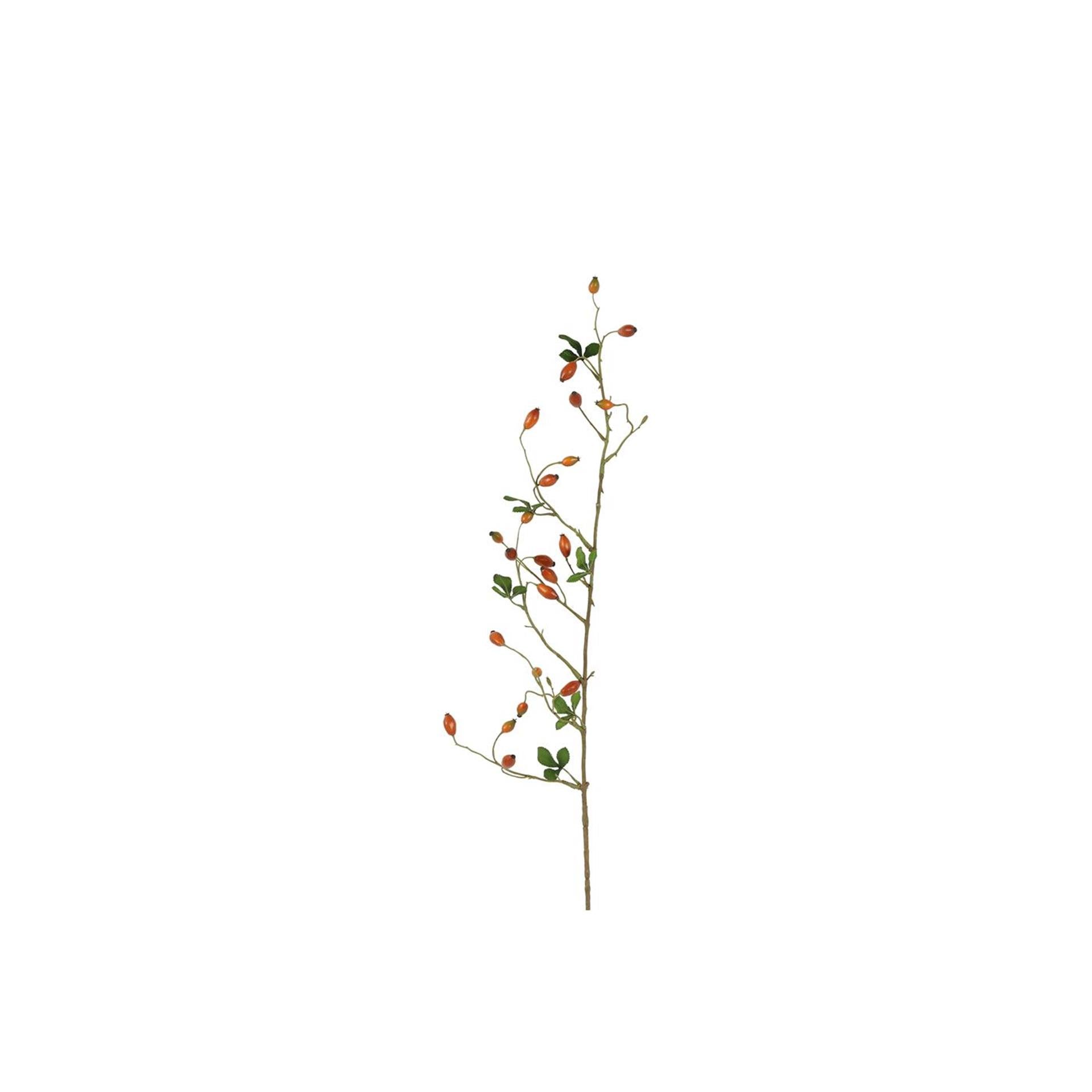 Countryfield kunsttak rosa canina rozenbottel oranje 3,8x5x108cm
