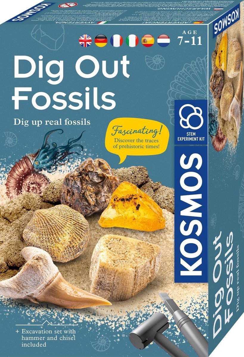 Kosmische Fossilien aushöhlen
