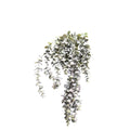 Roberts collection kunst hangplant eucalyptus bordeaux 95cm