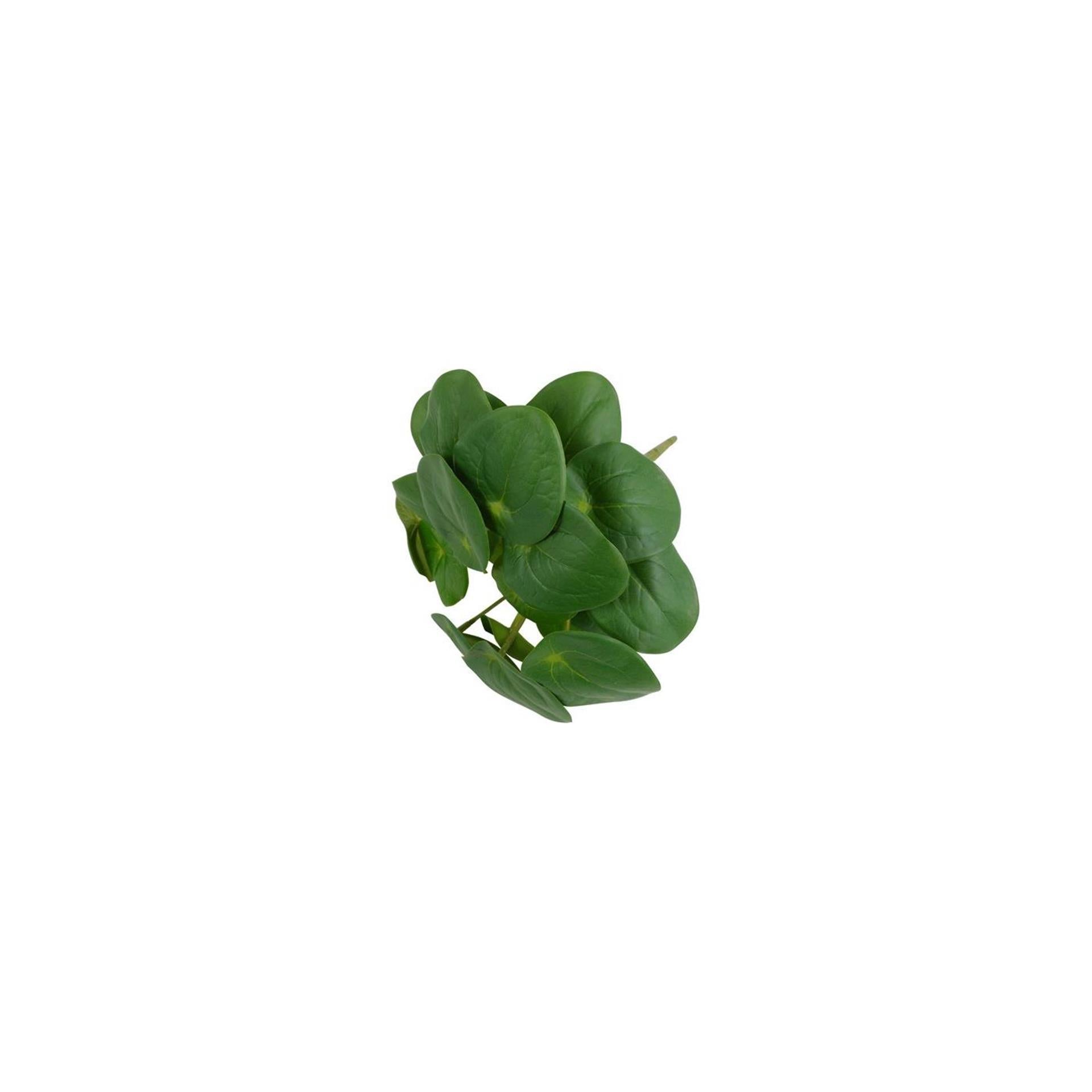 Countryfield kunstplant pilea 22x22x25cm