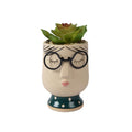 Decoris kunstplant in pot gezicht bril h13,5cm