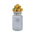 Decoris voorraadpot citroen h27cm glas aardewerk