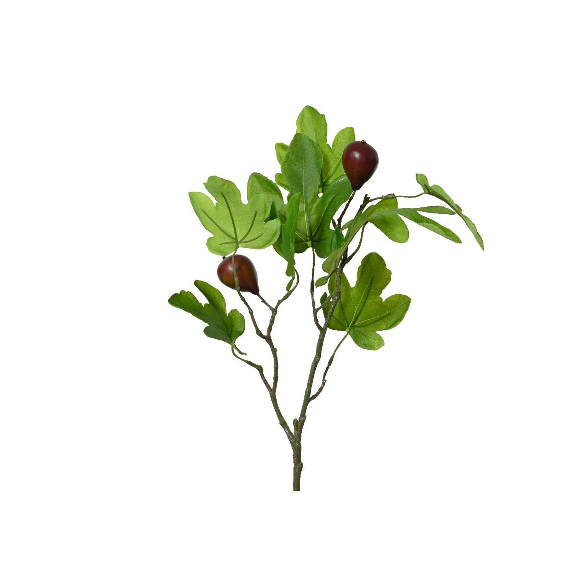 Decoris kunsttak vijg 25x12x63cm