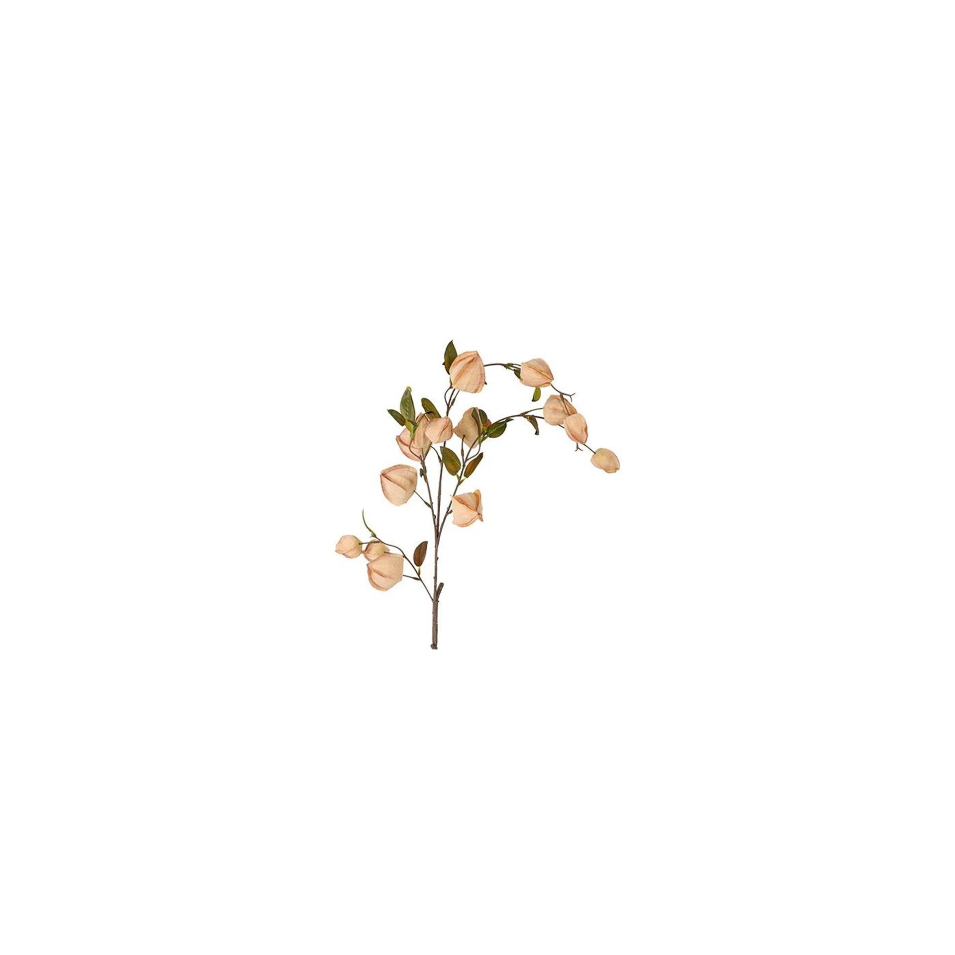 Country field kunstbloem physalis bruin zijde h94cm