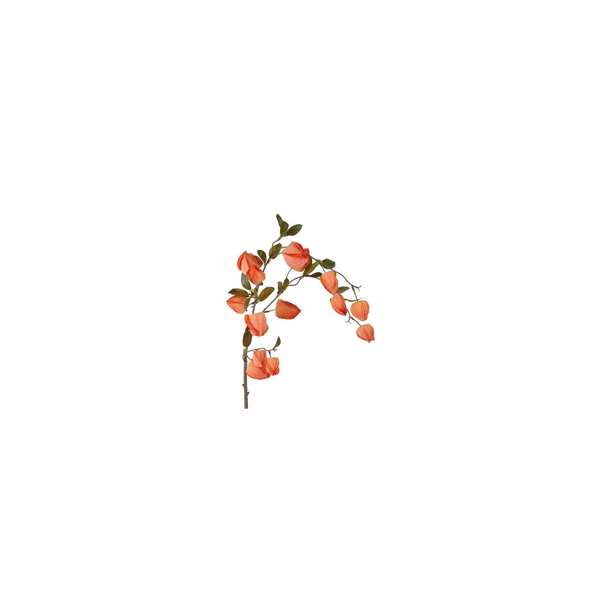 Country field kunstbloem physalis brons zijde h94cm