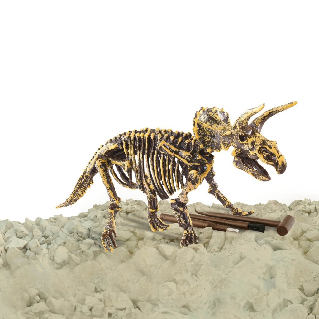 Dinobase Dino 3D Triceratops-Skelett