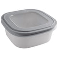 Sunware Sigma Home Aufbewahrungsbox 2,8 l, grau